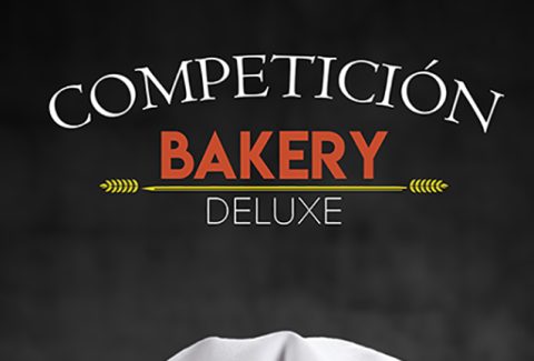 BROCHURE CONCURSO NOVA