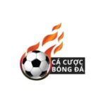 ccbongda