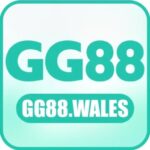logo-4