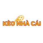 logo-tylekeonhacai5.co_.com_