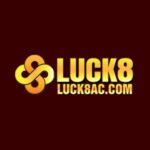 luck8accom-avatar