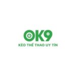 ok9-1