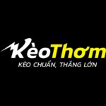 cropped-Logo2-768x215-1-1
